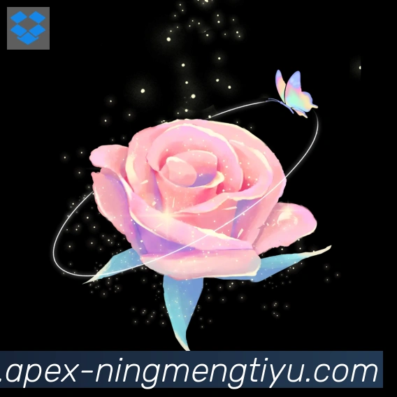 App功能展示图