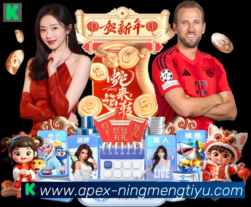 奖项证书