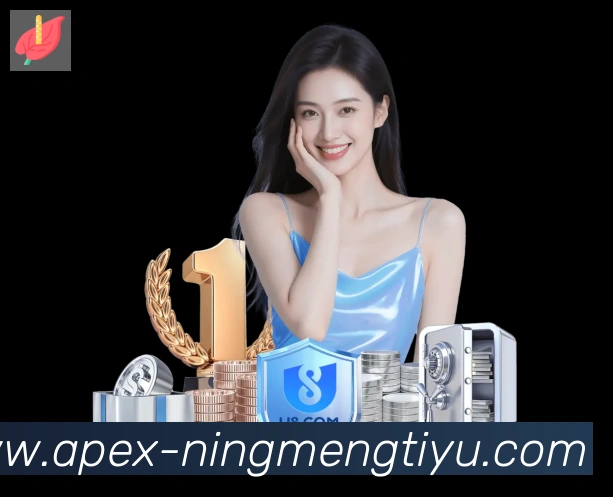 平台使命图